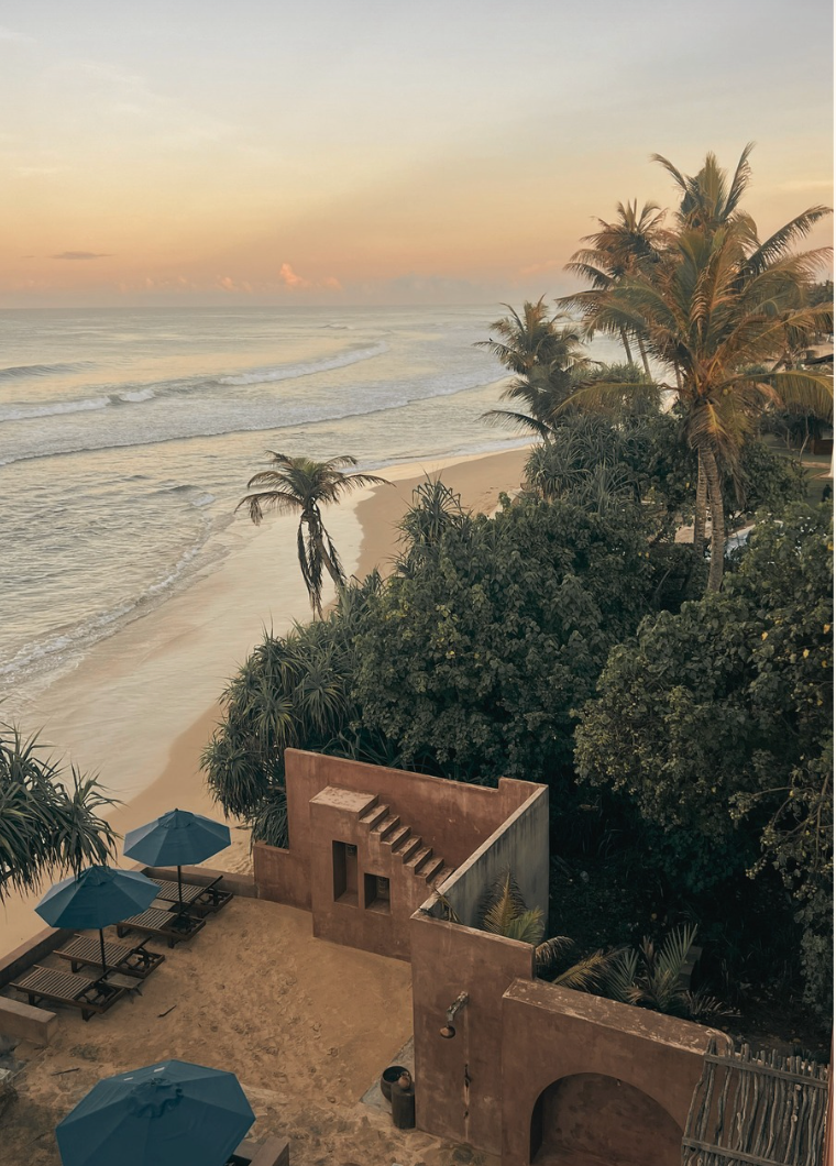 Founder Diaries: Katia's Guide to Sri Lanka